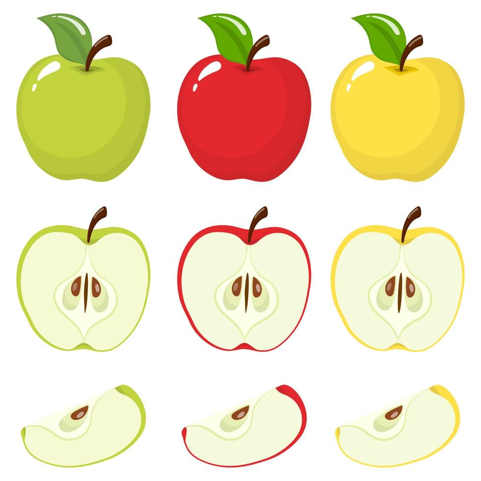 uppsättning av färska hela, hälften, skär skiva och blad färgade äpple frukt isolerad på vit bakgrund. sommarfrukter för en hälsosam livsstil. ekologisk frukt. tecknad stil. vektor illustration för någon design.