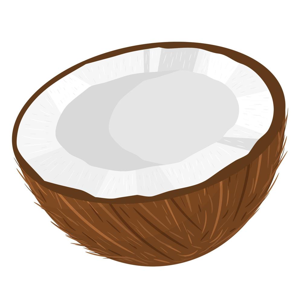 tecknad detaljerad brun exotisk halv kokosnöt isolerad på vit bakgrund. sommarfrukter för en hälsosam livsstil. ekologisk frukt. tecknad stil. vektor illustration för någon design.