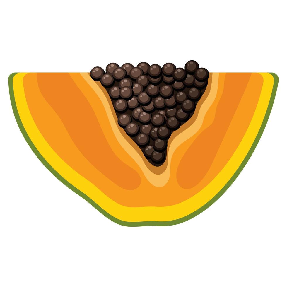 färska ljusa exotiska skär skiva papaya frukt isolerad på vit bakgrund. sommarfrukter för en hälsosam livsstil. ekologisk frukt. tecknad stil. vektor illustration för någon design.