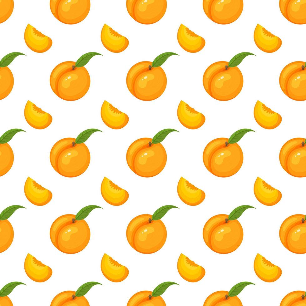 Samlöst mönster med tecknad detaljerad exotisk persika på vit bakgrund. sommarfrukter för en hälsosam livsstil. ekologisk frukt. vektor illustration för någon design.