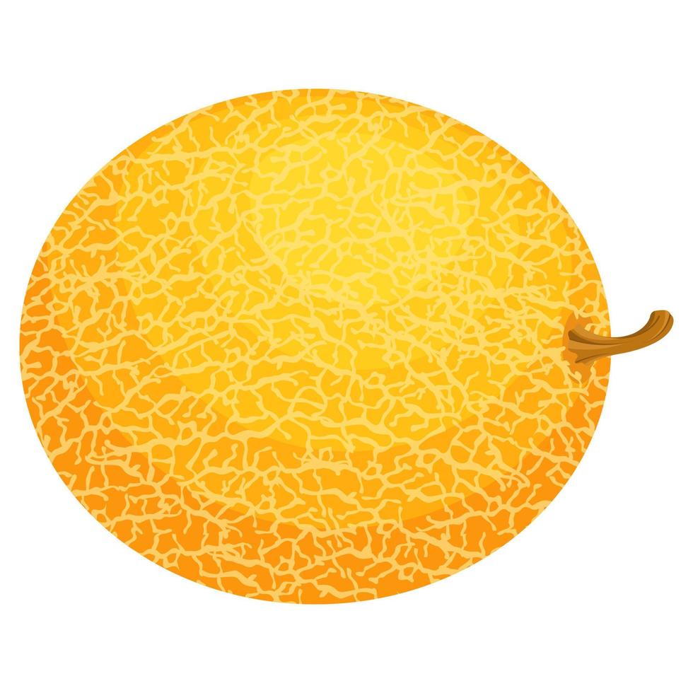 färsk hel melon frukt isolerad på vit bakgrund. honungsmelon. sommarfrukter för en hälsosam livsstil. ekologisk frukt. tecknad stil. vektor illustration för någon design.