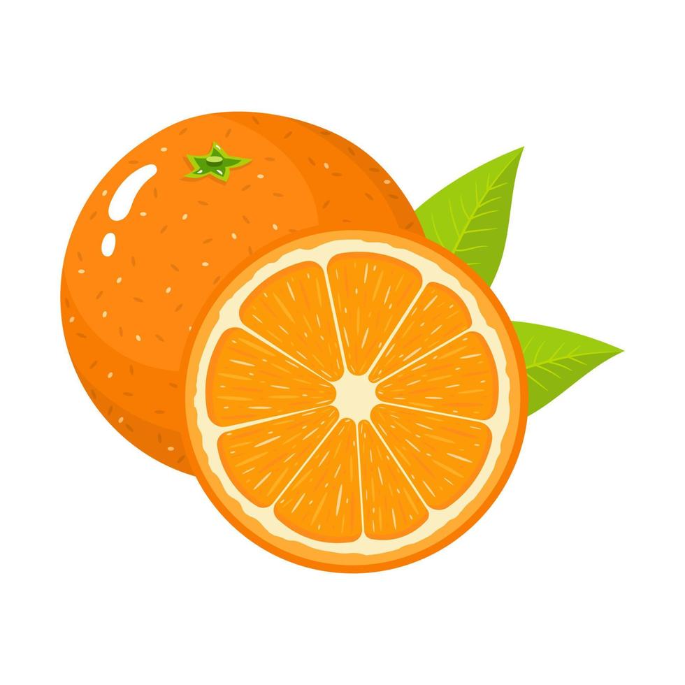 uppsättning av färsk hel och halv orange frukt med blad isolerad på vit bakgrund. mandarin. ekologisk frukt. tecknad stil. vektor illustration för någon design.