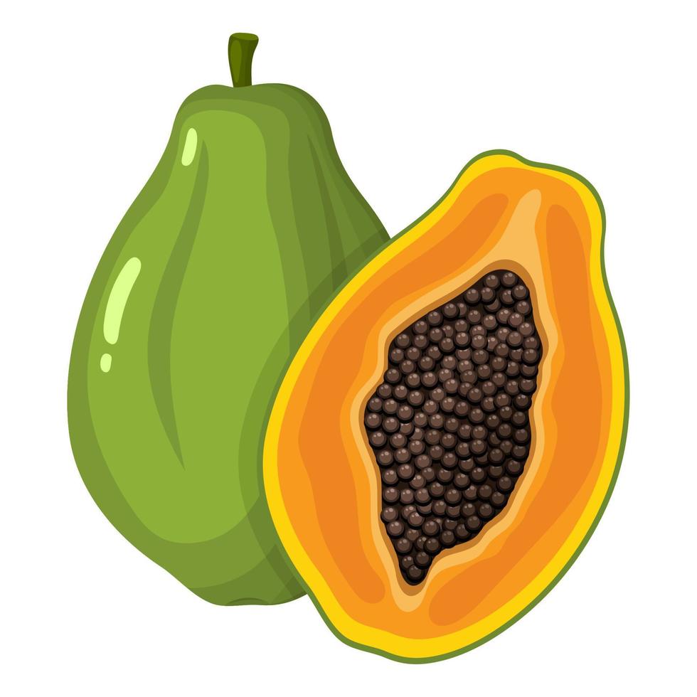 färska ljusa exotiska hel och halv papaya frukt isolerad på vit bakgrund. sommarfrukter för en hälsosam livsstil. ekologisk frukt. tecknad stil. vektor illustration för någon design.