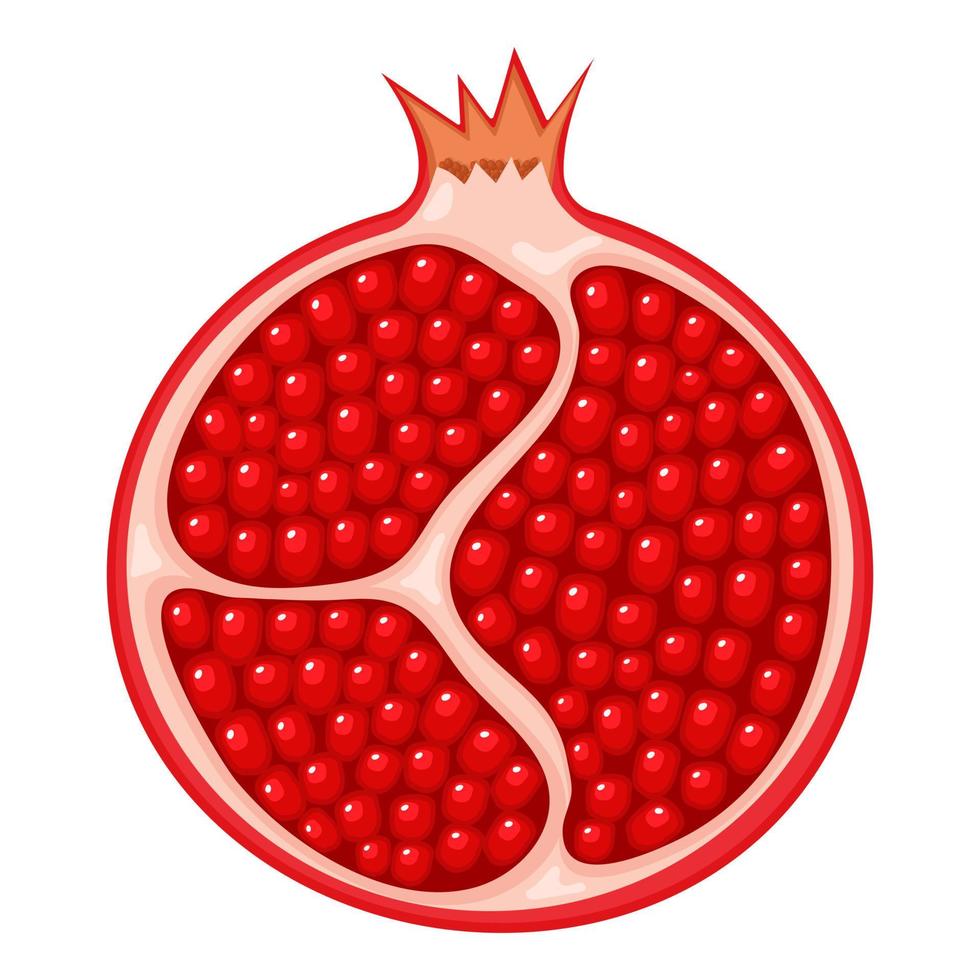 frischer heller exotischer halber Granatapfel lokalisiert auf weißem Hintergrund. sommerfrüchte für einen gesunden lebensstil. Bio-Obst. Cartoon-Stil. Vektorillustration für jedes Design. vektor