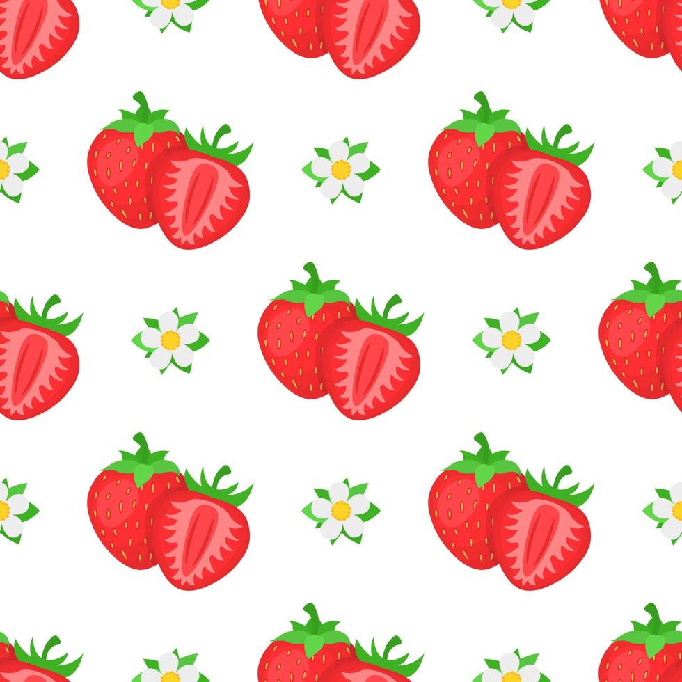 Nahtloses Muster mit frischen hellen exotischen ganzen und halben Erdbeeren mit Blumen auf weißem Hintergrund. sommerfrüchte für einen gesunden lebensstil. Bio-Obst. Vektorillustration für jedes Design. vektor