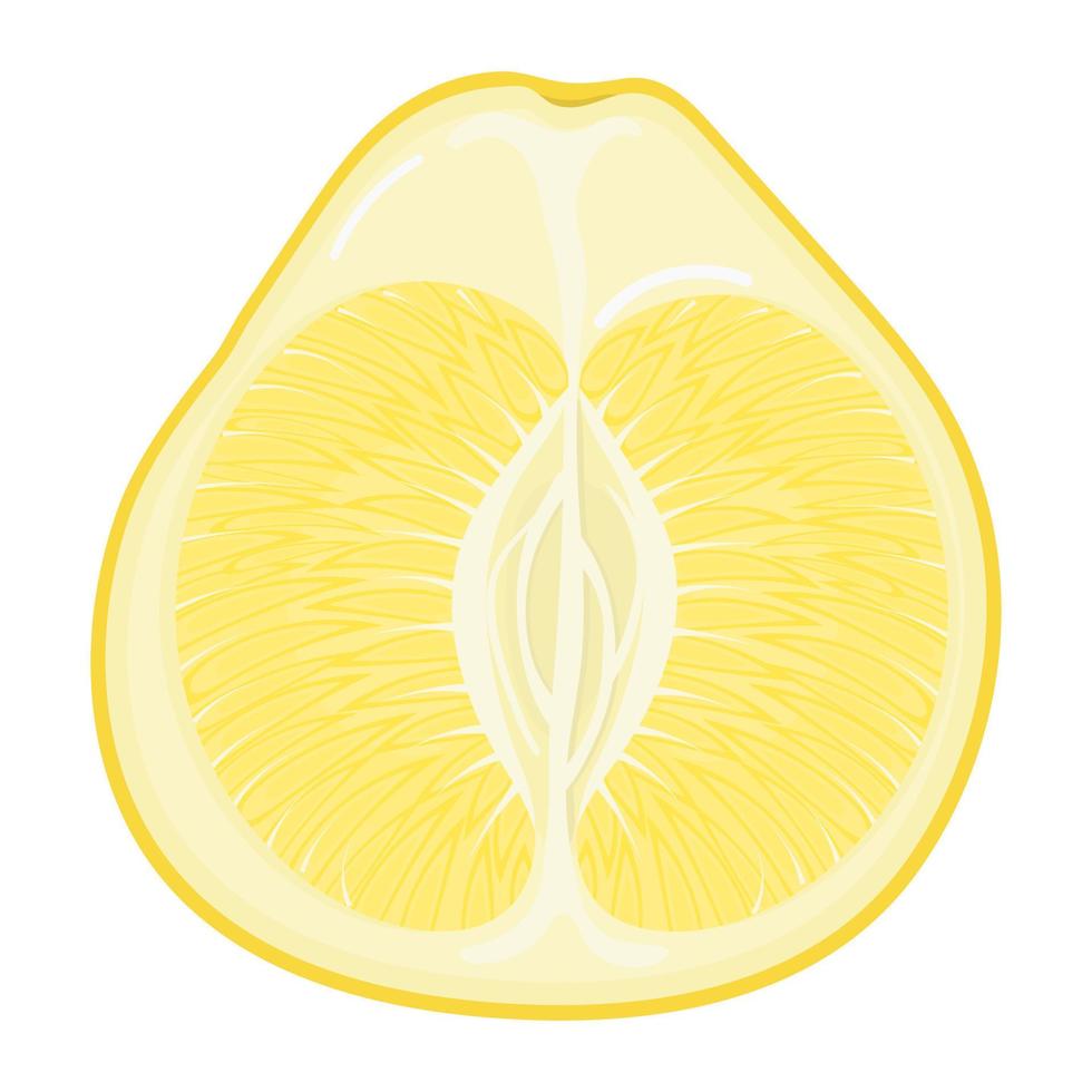 färska ljusa exotiska halv gul pomelo frukt isolerad på vit bakgrund. sommarfrukter för en hälsosam livsstil. ekologisk frukt. tecknad stil. vektor illustration för någon design.