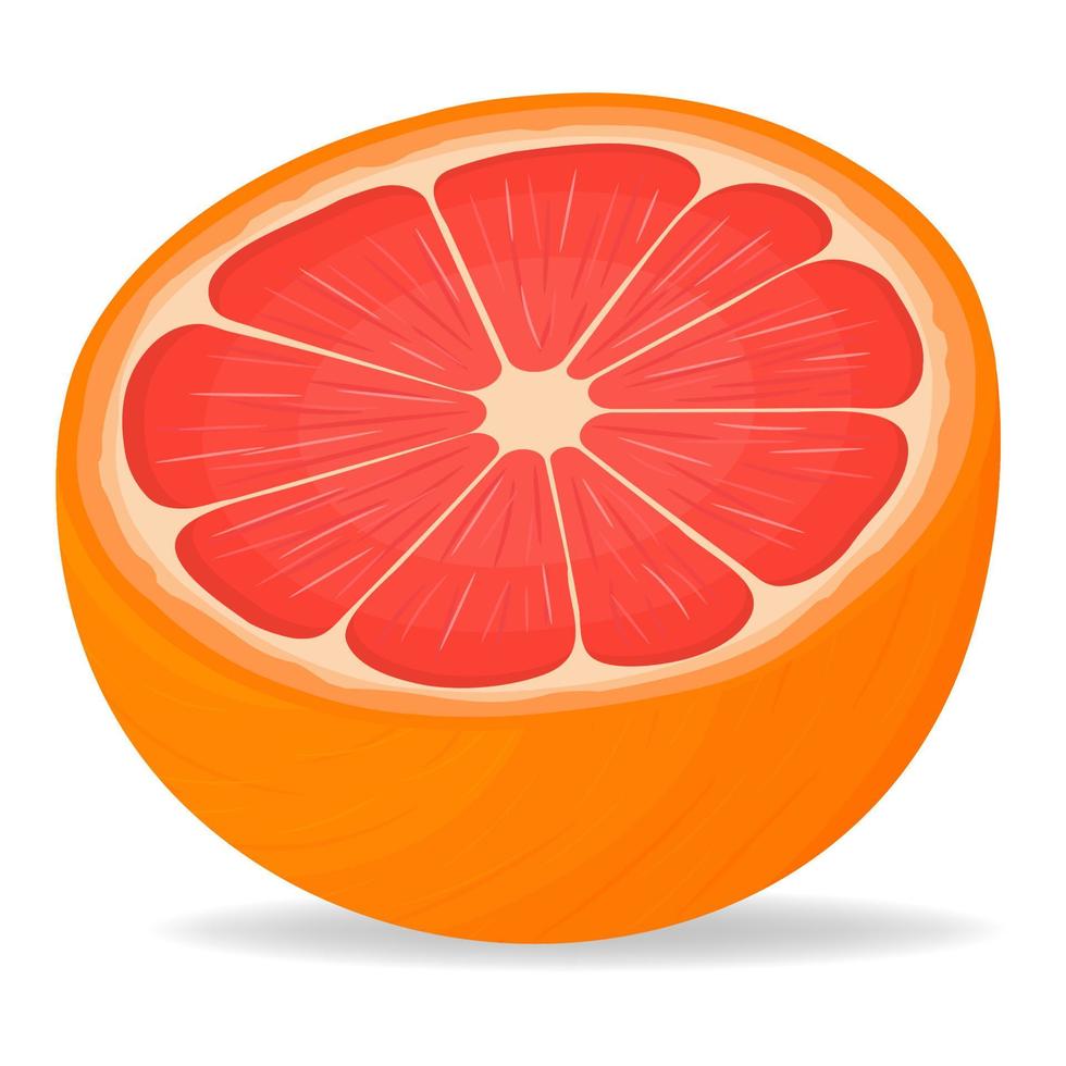 frische, helle, exotische halb geschnittene Grapefruit isoliert auf weißem Hintergrund. sommerfrüchte für einen gesunden lebensstil. Bio-Obst. Cartoon-Stil. Vektorillustration für jedes Design. vektor