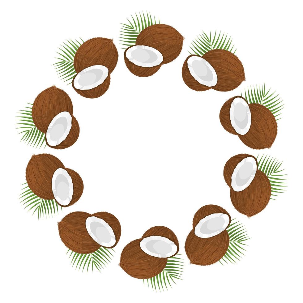 Kranz aus ganzen, halben Kokosnüssen und Blättern mit Platz für Text. karikatur organisches süßes essen. sommerfrüchte für einen gesunden lebensstil. Vektorillustration für jedes Design. vektor