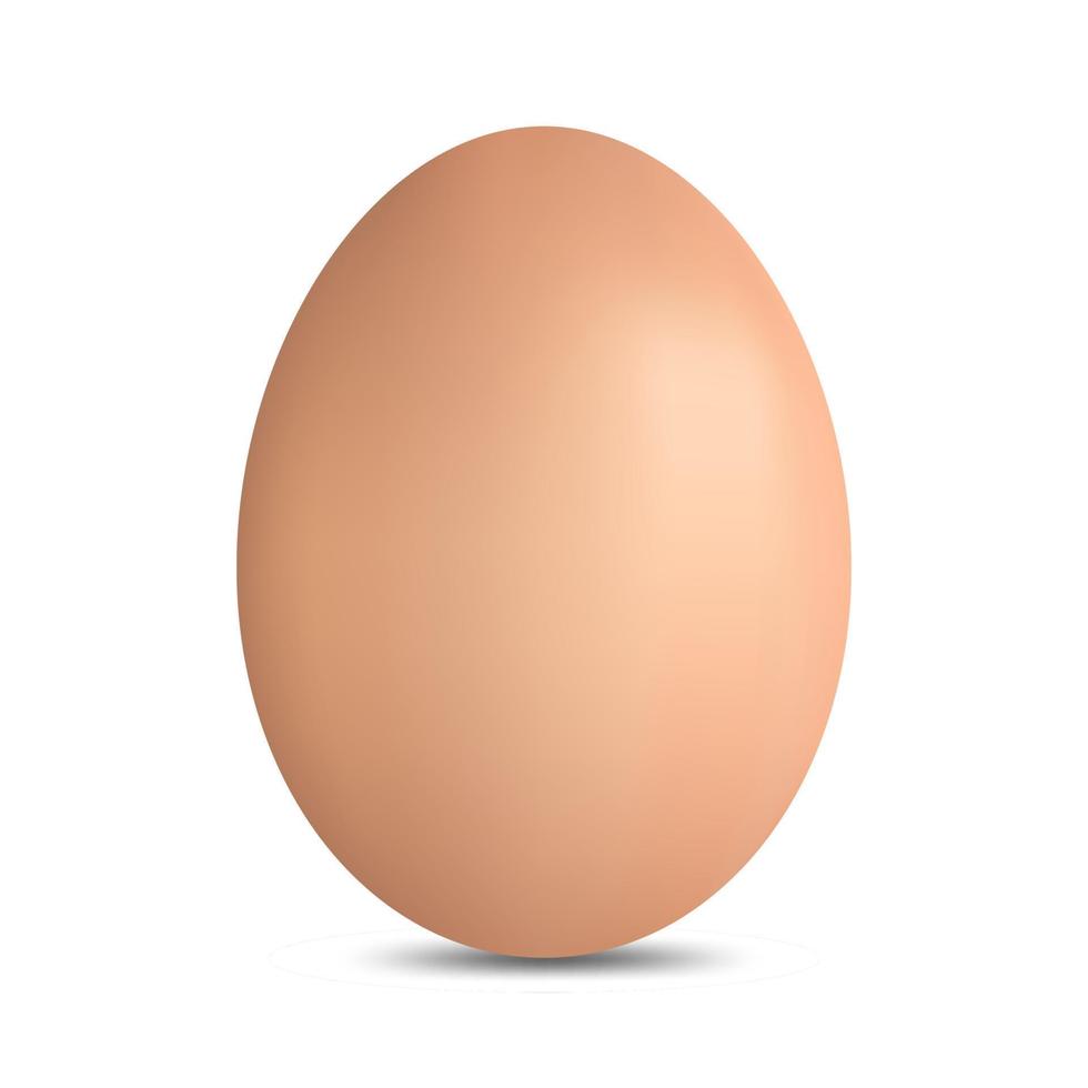 närbild av realisitic brunt ägg isolerad på vit bakgrund. eps 10. vektor illustration.