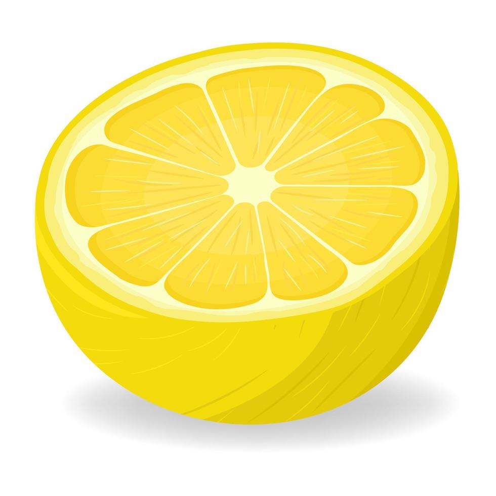 färska ljusa exotiska halv citron frukt isolerad på vit bakgrund. sommarfrukter för en hälsosam livsstil. ekologisk frukt. tecknad stil. vektor illustration för någon design.
