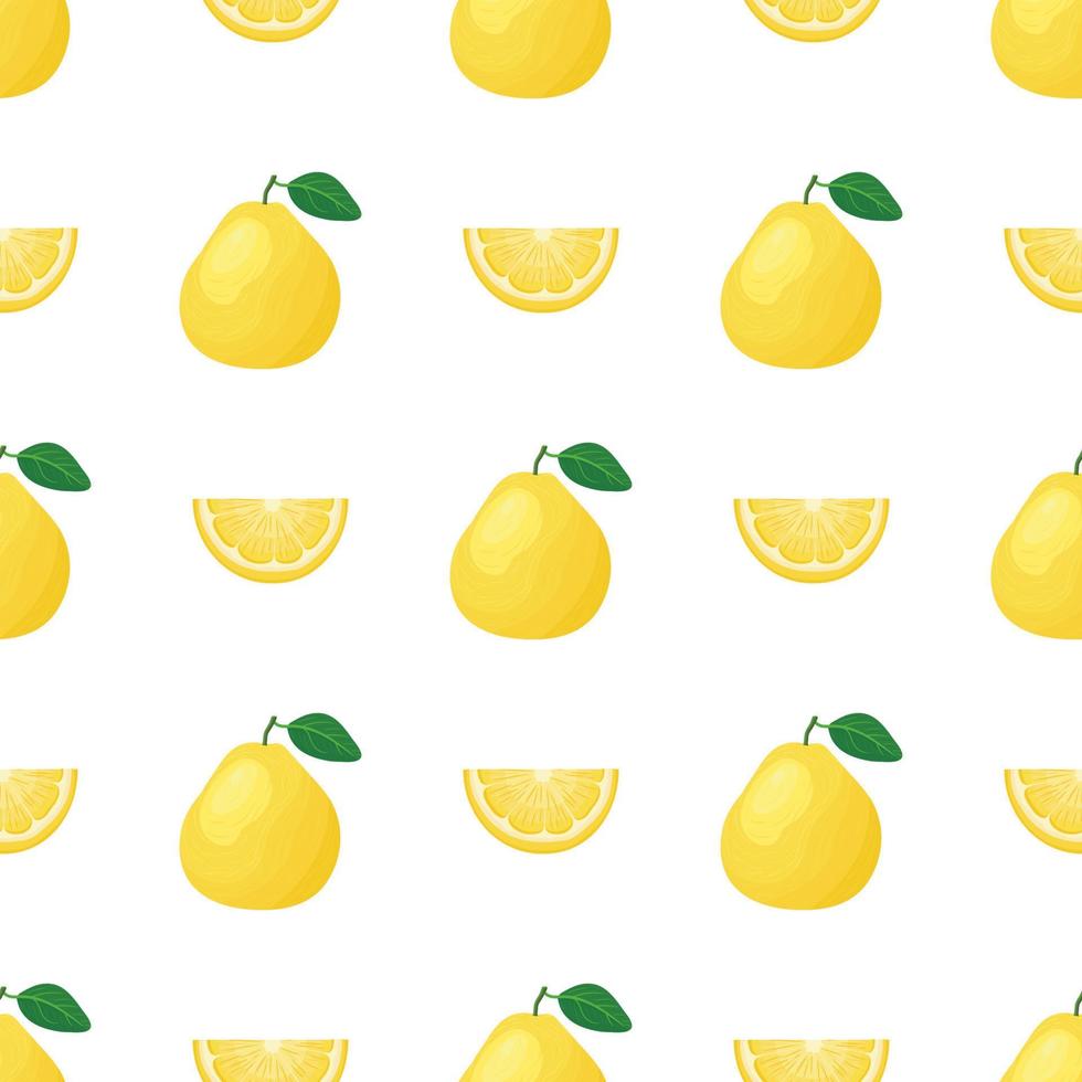 seamless mönster med färska ljusa exotiska hela och skär skiva pomelo frukt på vit bakgrund. sommarfrukter för en hälsosam livsstil. ekologisk frukt. tecknad stil. vektor illustration för någon design