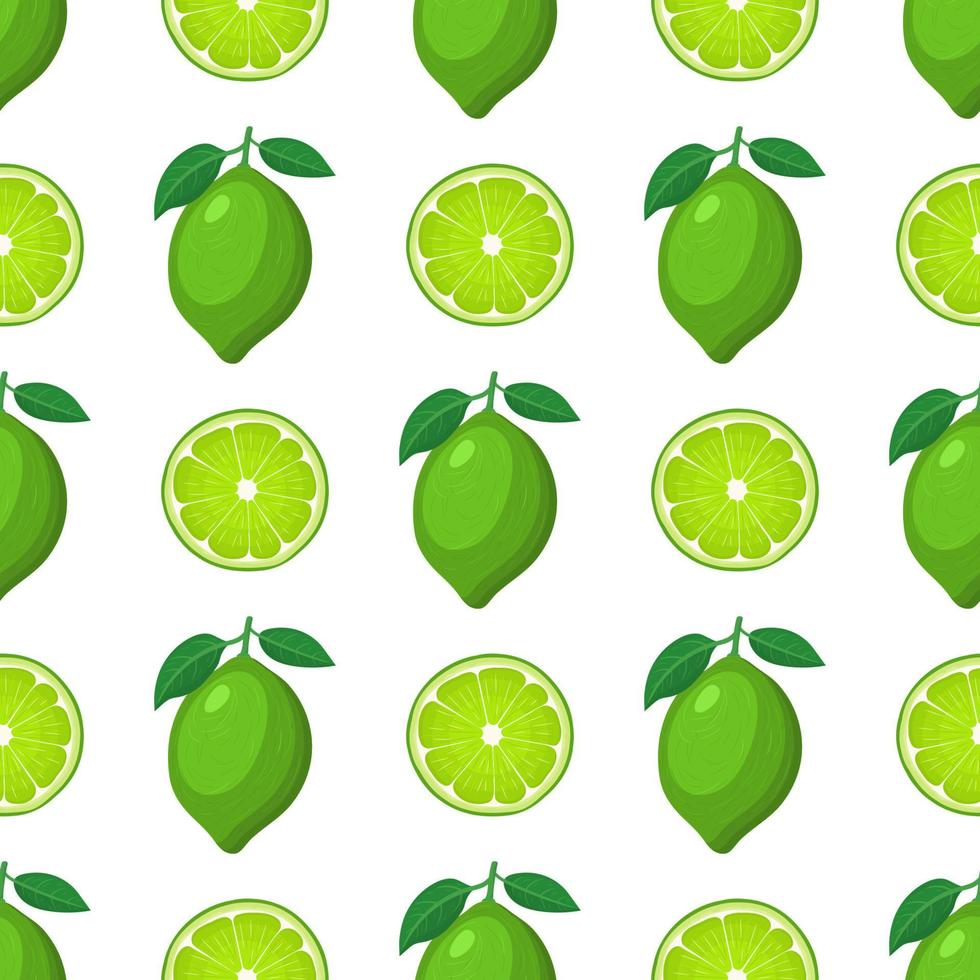 seamless mönster med färska ljusa exotiska hel och halv lime frukt på vit bakgrund. sommarfrukter för en hälsosam livsstil. ekologisk frukt. tecknad stil. vektor illustration för någon design.