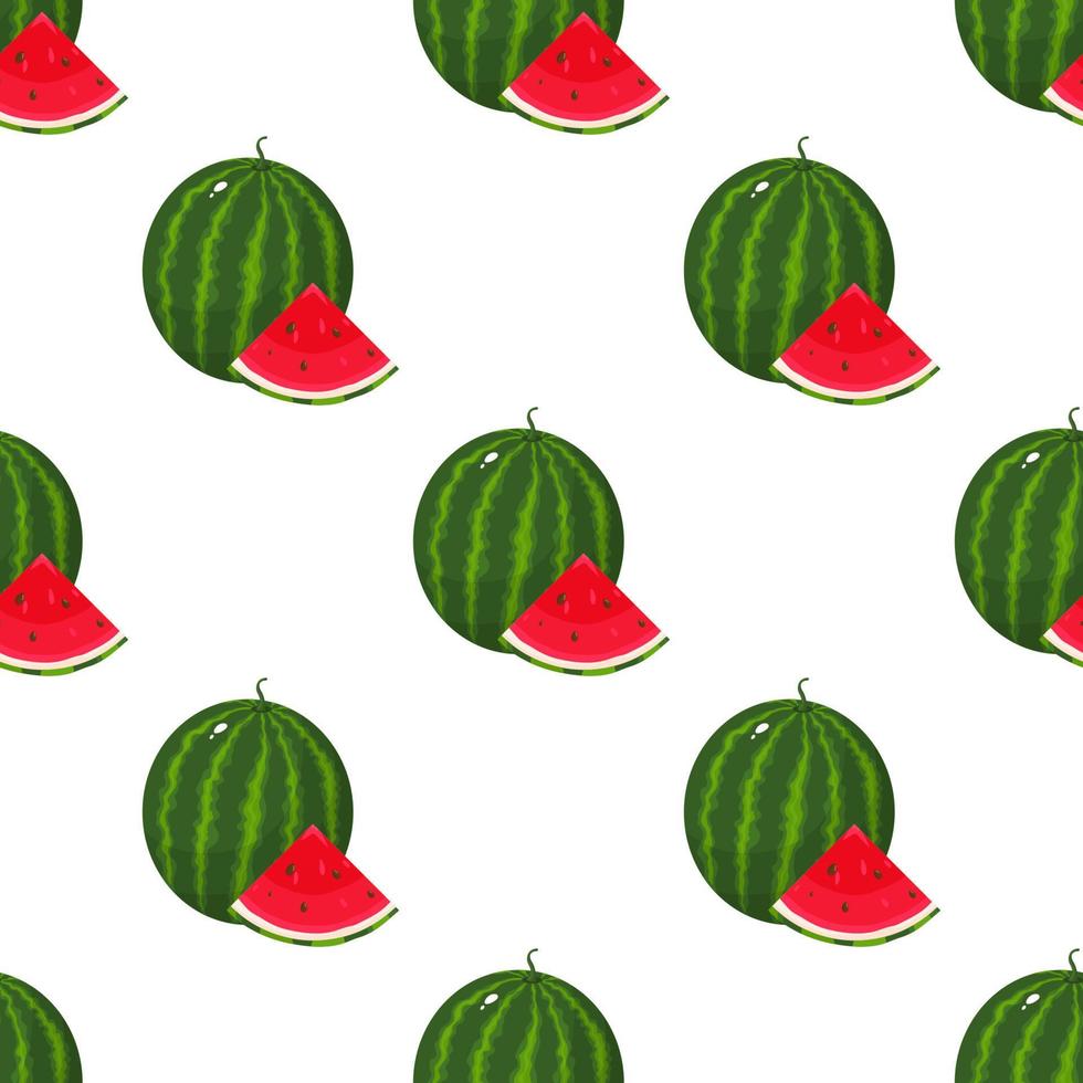 seamless mönster med färska hela och skära skiva vattenmelon frukt på vit bakgrund. sommarfrukter för en hälsosam livsstil. ekologisk frukt. tecknad stil. vektor illustration för någon design.