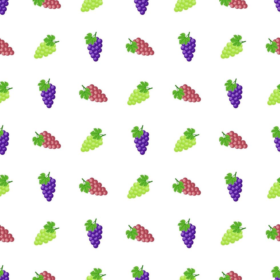 Nahtloses Muster mit lila, grünen und roten Trauben isoliert auf weißem Hintergrund. Haufen lila Trauben mit Stiel und Blatt. vektorillustration für design, web, verpackungspapier, stoff, tapete. vektor
