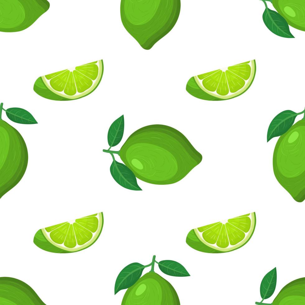 seamless mönster med färska ljusa exotiska hela och skära skiva lime frukt på vit bakgrund. sommarfrukter för en hälsosam livsstil. ekologisk frukt. tecknad stil. vektor illustration för någon design.