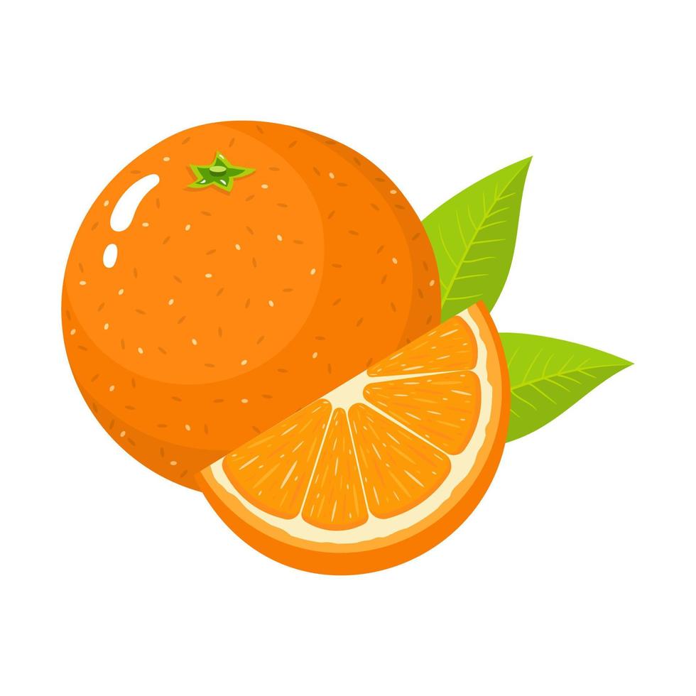 Satz frischer ganzer und geschnittener Orangenfrüchte mit Blättern isoliert auf weißem Hintergrund. Mandarine. Bio-Obst. Cartoon-Stil. Vektorillustration für jedes Design. vektor