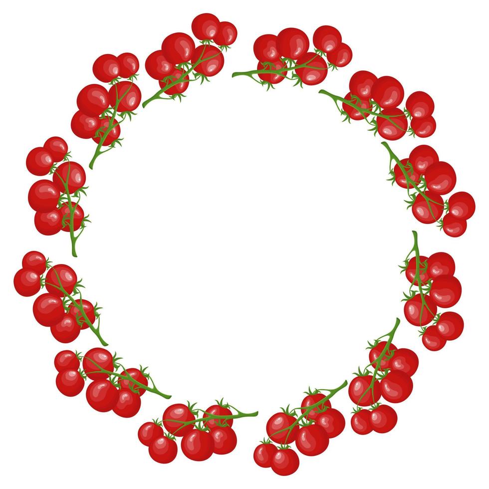 Kranz aus Tomaten mit Platz für Text. rohes reifes rotes Kirschtomate-Zweiggemüse lokalisiert auf weißem Hintergrund. Bio-Lebensmittel. Cartoon-Stil. vektorillustration für ihr design, web. vektor