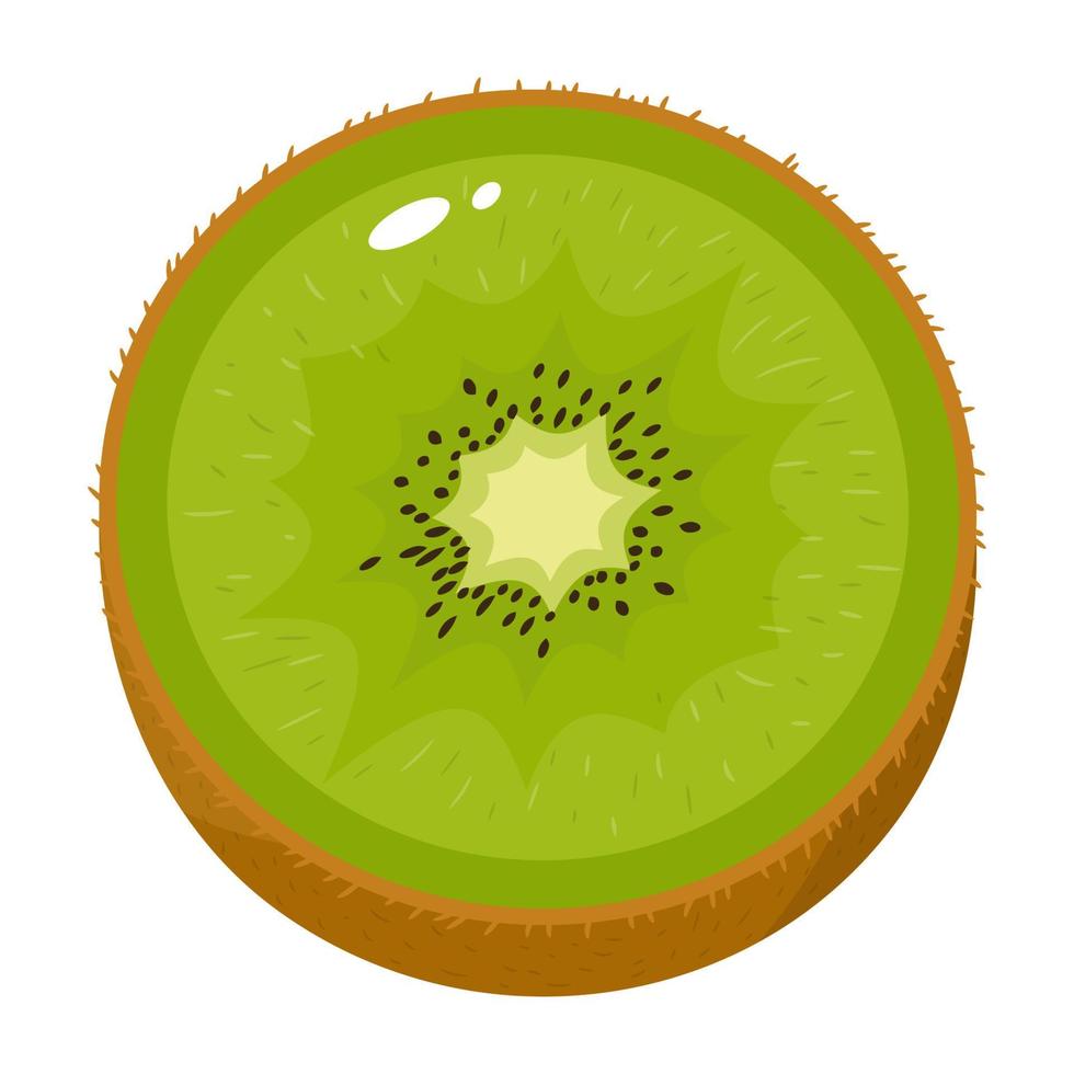 färsk halv kiwi frukt isolerad på vit bakgrund. sommarfrukter för en hälsosam livsstil. ekologisk frukt. tecknad stil. vektor illustration för någon design.