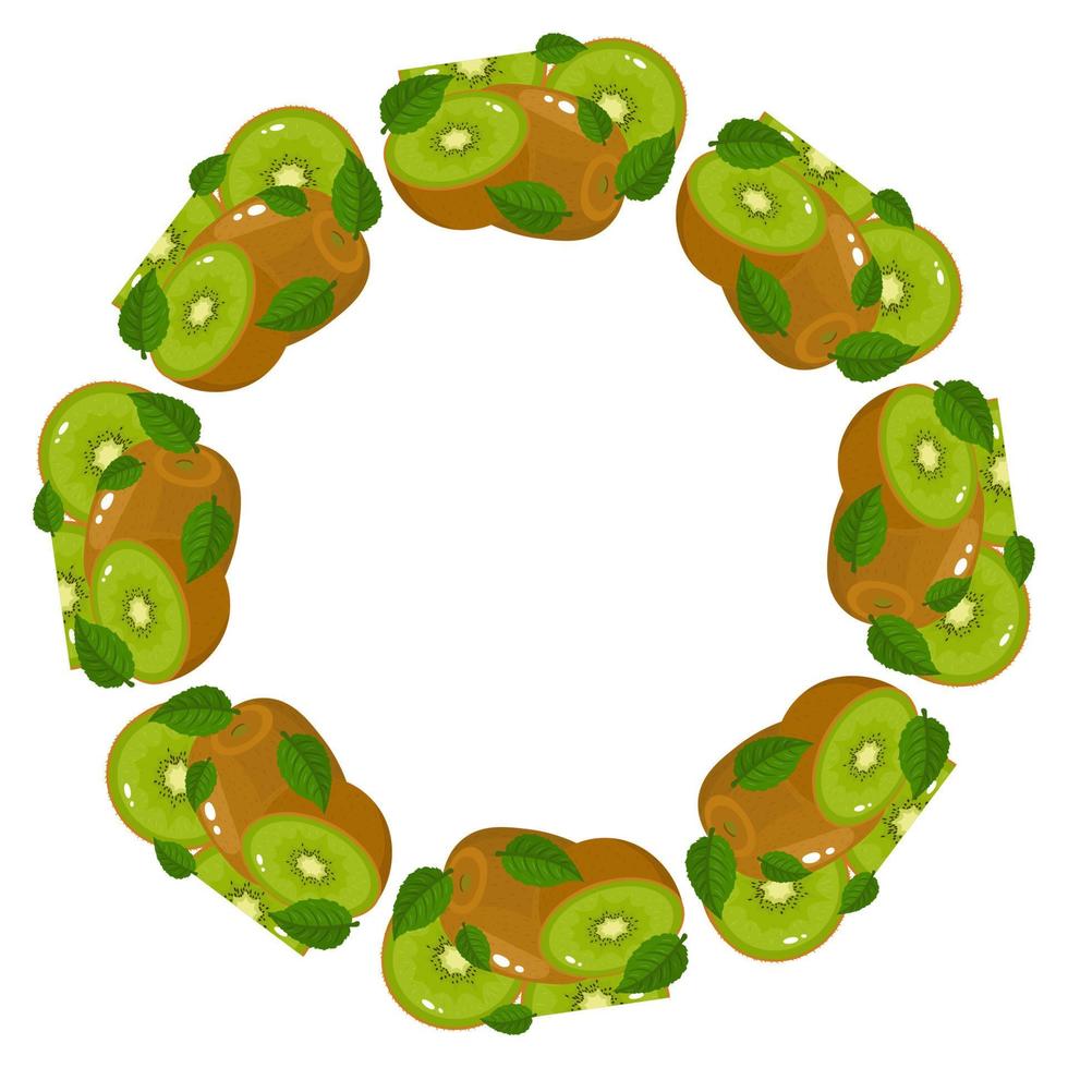 krans från gröna kiwi med plats för text. tecknad ekologisk söt mat. sommarfrukter för en hälsosam livsstil. vektor illustration för någon design.