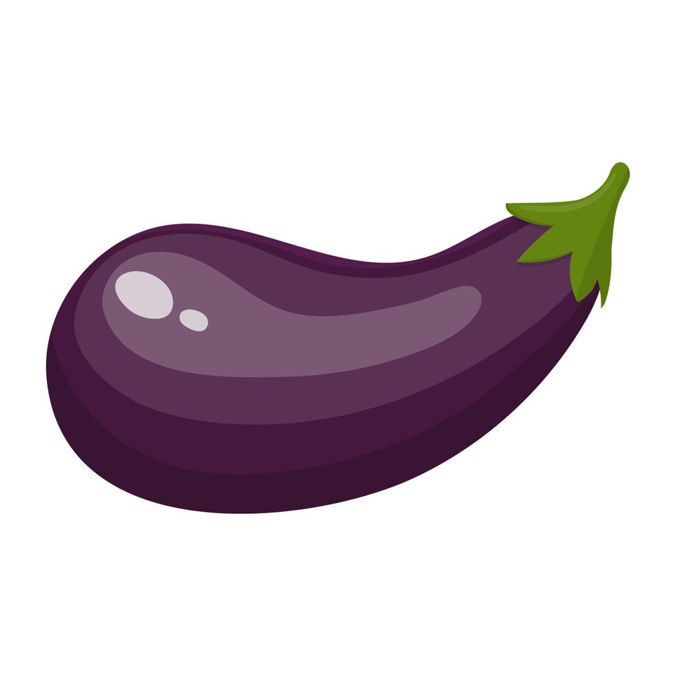 färsk aubergine grönsak isolerad på vit bakgrund. aubergine ikon för marknaden, recept design. tecknad platt stil. vektor illustration för din design, webb.