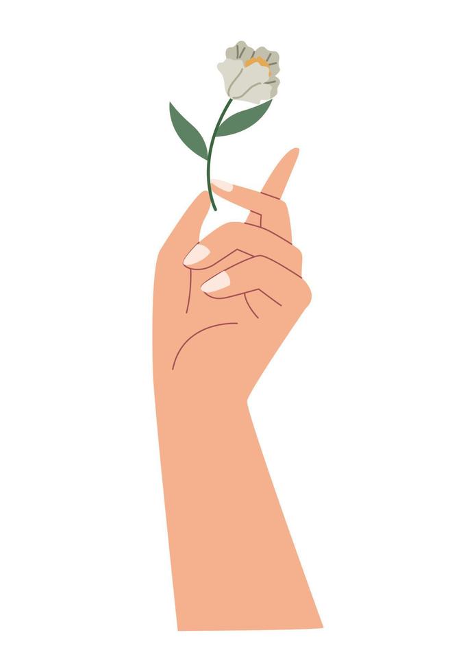 kvinna hand lyfter blomma vektor