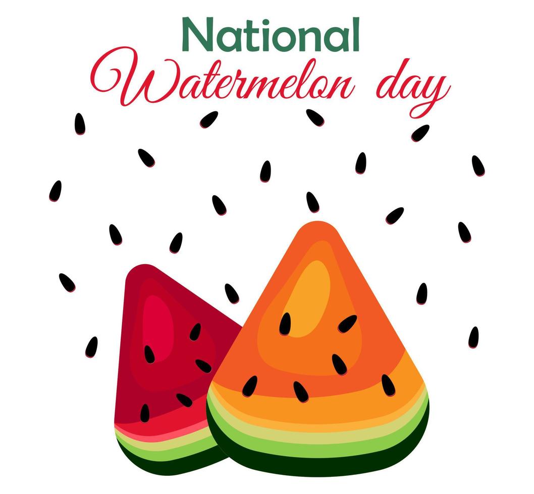 nationella vattenmelondagen. vattenmelon semester. världsvattenmelondagen. saftig, läcker gul och röd vattenmelon med frön på en vit bakgrund vektor