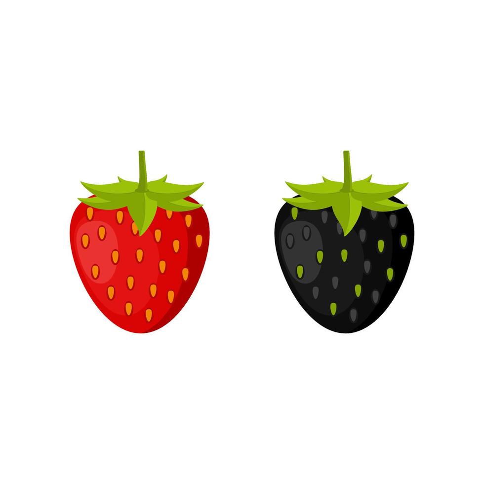 rote und schwarze Erdbeere. saftige erdbeere auf weißem hintergrund isoliert. vektor
