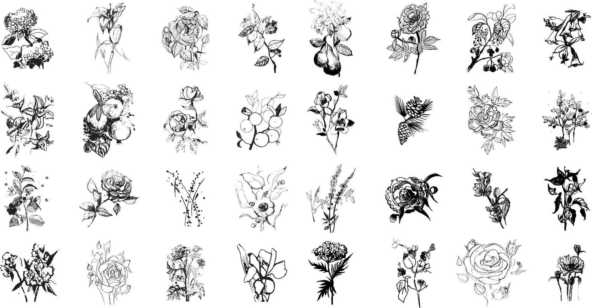 Reihe von Pflanzen und Blumen vektor
