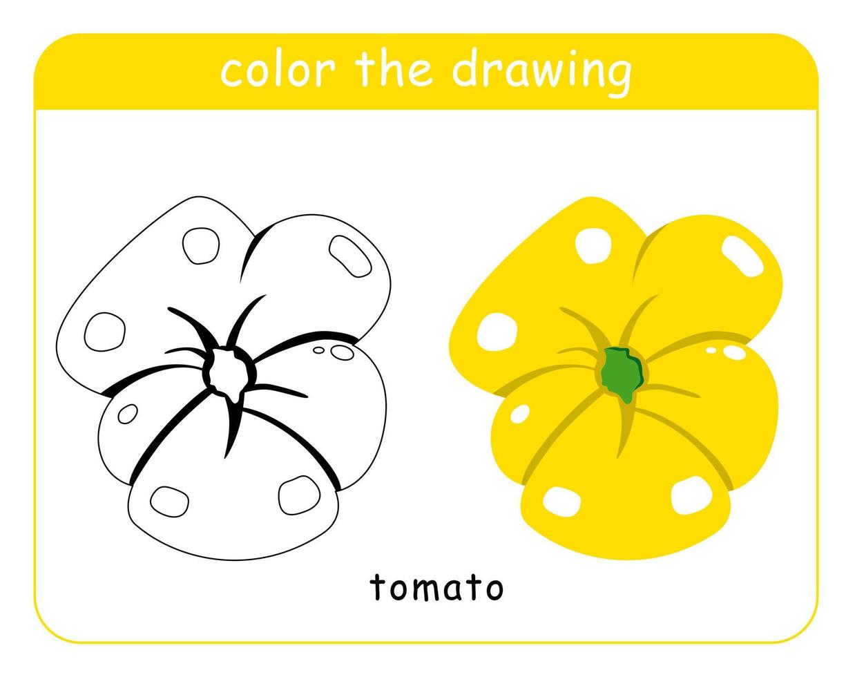 Malbuch für Kinder. Tomaten in Farbe und Schwarzweiß. vektor