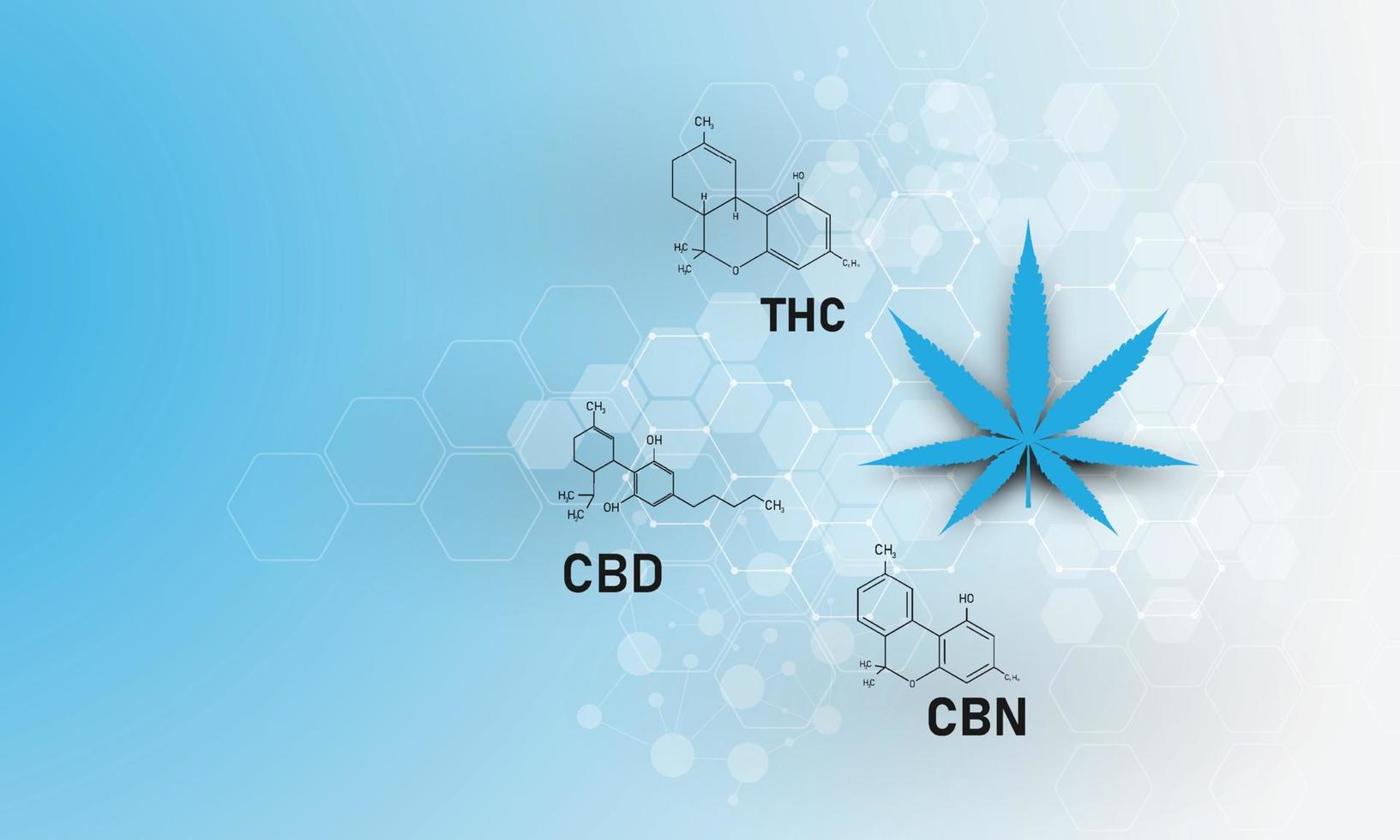 molekularstruktur medizinische chemie formel cannabis der formel cbd, vektorillustration vektor