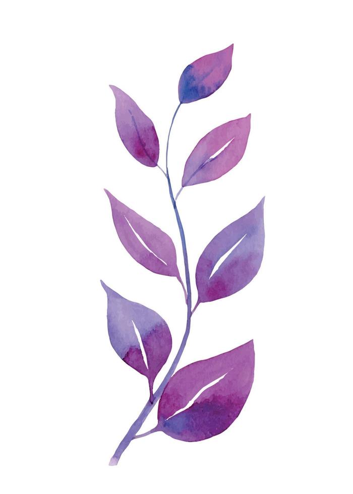Aquarellzweig mit violetten und rosa Blättern Blumenvektor handgemalte Illustration auf weißem isoliertem Hintergrunddesign für Hochzeitseinladungen vektor