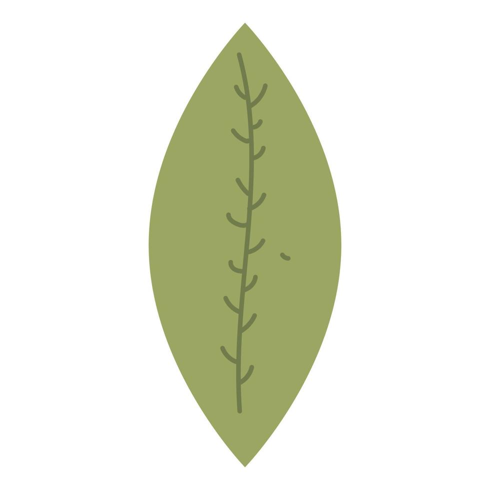 grünes Blatt-Vektor-Illustrationssymbol ist isoliert vektor