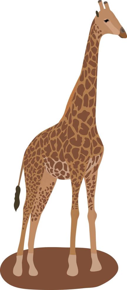 giraff. isolerat. vit bakgrund vektor