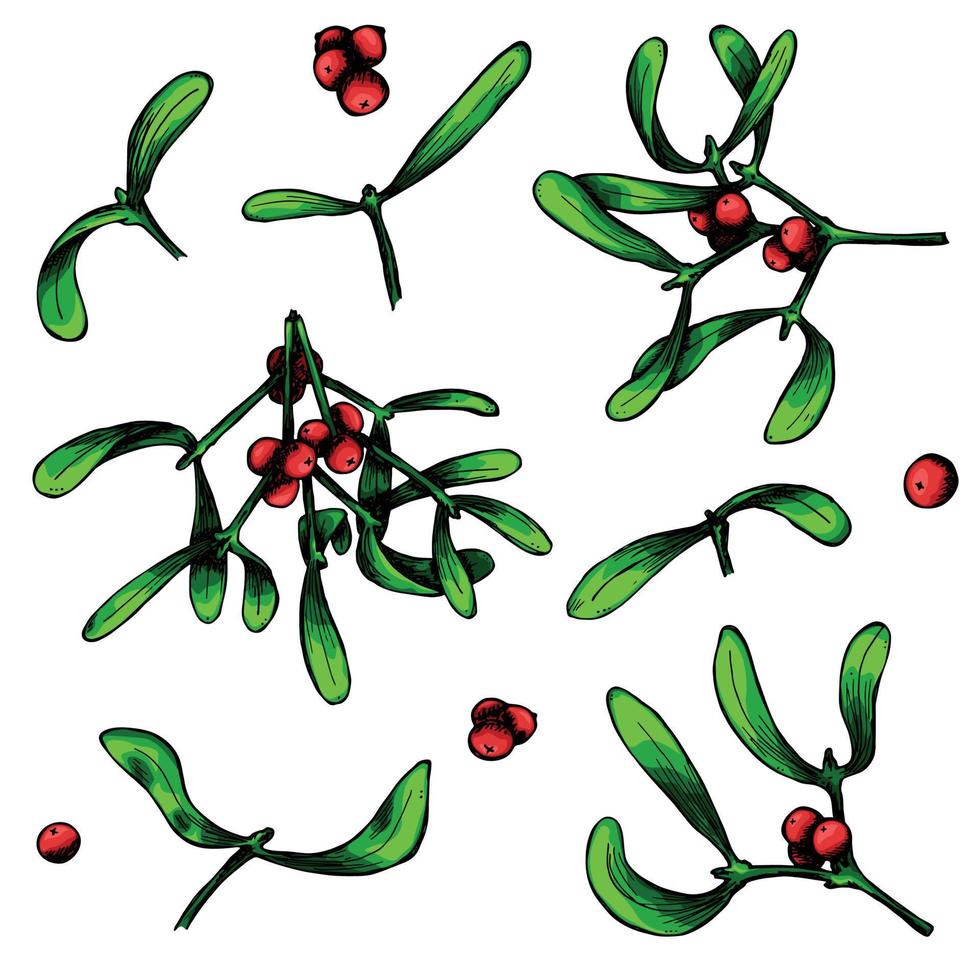 handritad jul och nyår uppsättning mistelkvistar med bär. juldekoration isolerad på en vit bakgrund. för inbjudningar, gratulationskort, tryck, webb, design. vektor