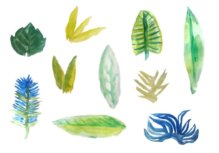 Free Watercolor Tropical Blätter Vektoren