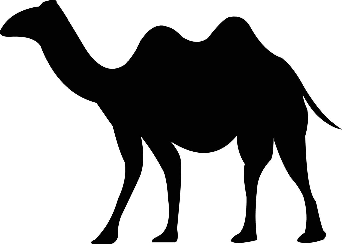 Schwarz-Weiß-Kamel-Vektorbilder, die Sie nach Bedarf verwenden können vektor