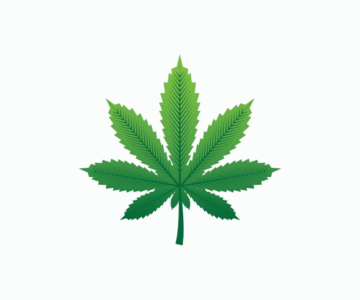 Marihuana oder Cannabisblatt buntes Symbol Logo Vorlage Vektorbild vektor