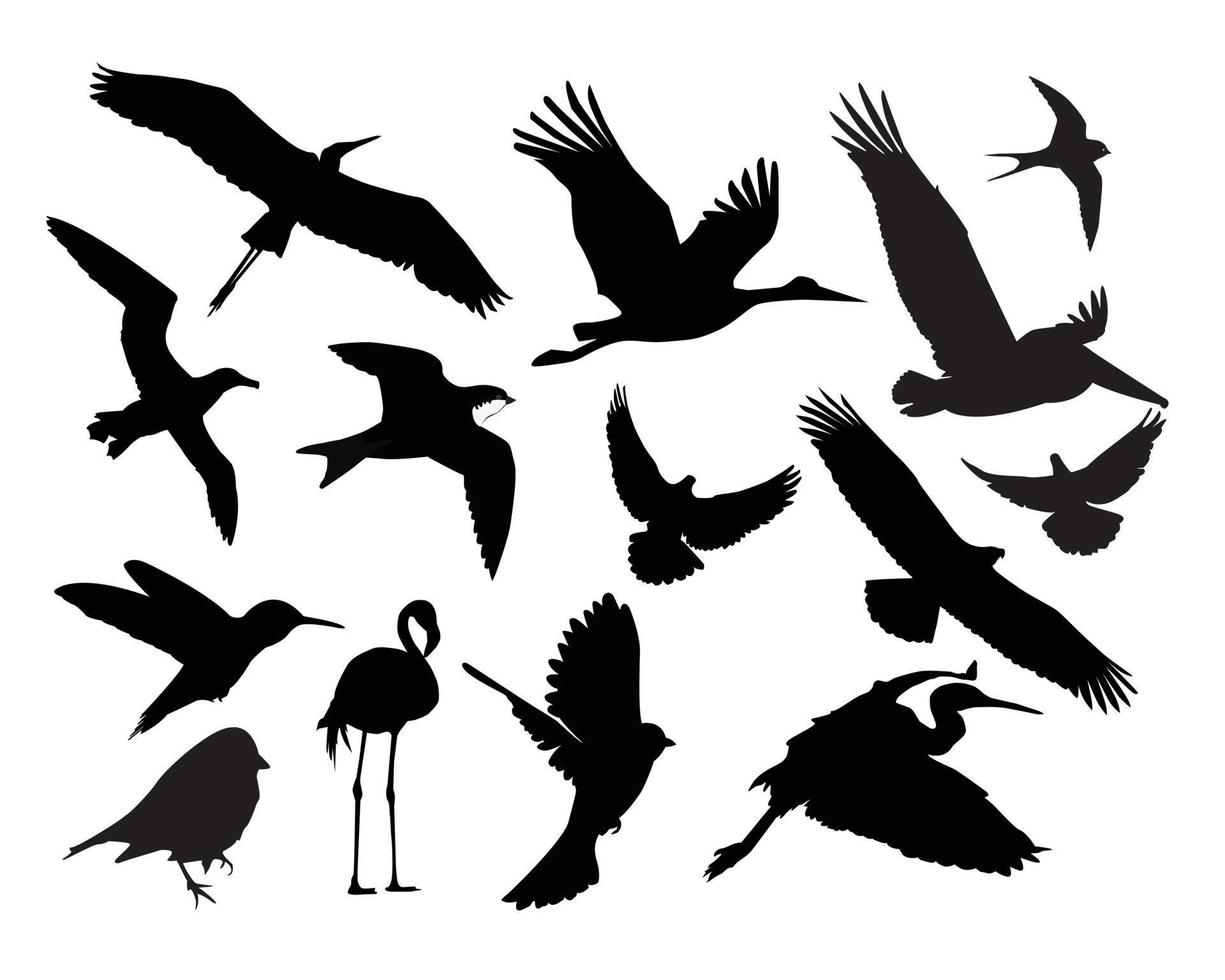 annorlunda fåglar vilda djur och växter på vit bakgrund vektor