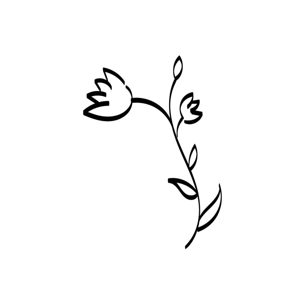 Blumen und Kräuter isoliert auf weißem Hintergrund vektor