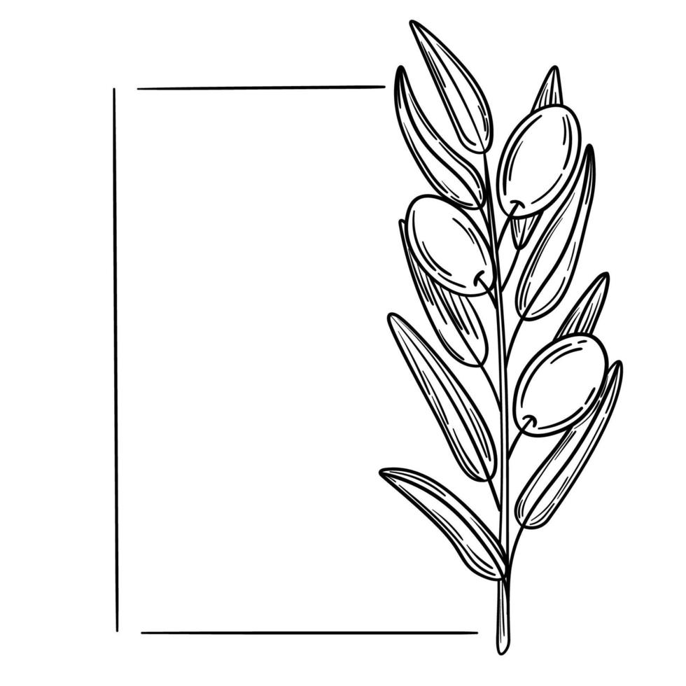 handgezeichneter Olivenkranz, Rahmen vektor