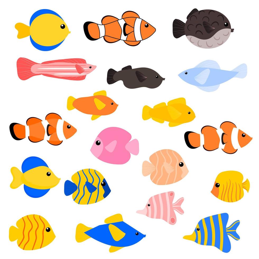 verschiedene Arten von Fischsammlung. Fisch-Clipart-Set. vektor