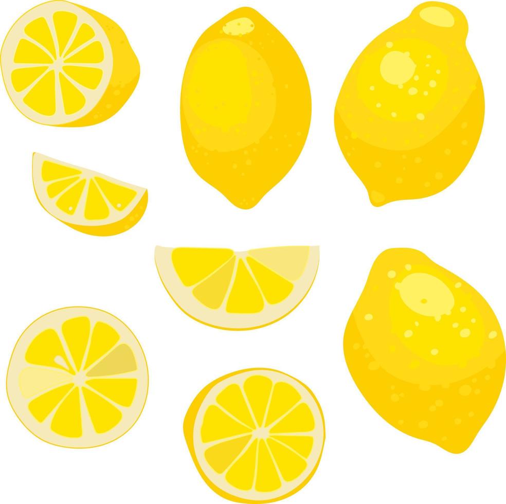 citron, hela frukt, hela och skivor av citron, vektor illustration. citron- frukt illustration för dekorativ affisch, emblem naturlig produkt, jordbrukare marknadsföra
