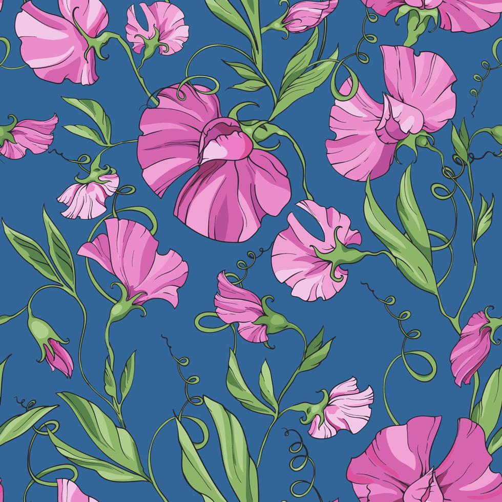 Rosa Blumen süße Erbse auf blauem Hintergrund, florales nahtloses Muster. muster für stoff, verpackungspapier, verpackungsdesign, webseiten, einladungen, grußkarten vektor