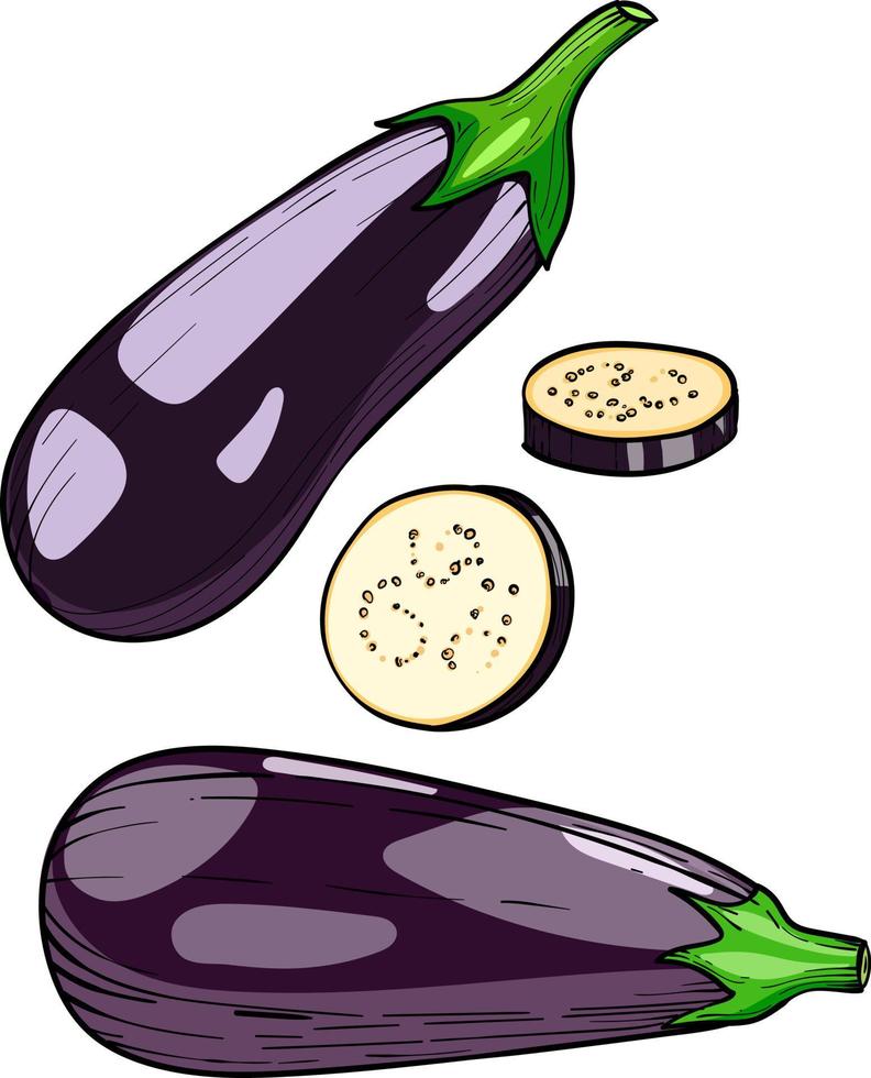 Auberginengemüse, Vektorreife Aubergine lokalisiert auf einem weißen Hintergrund vektor