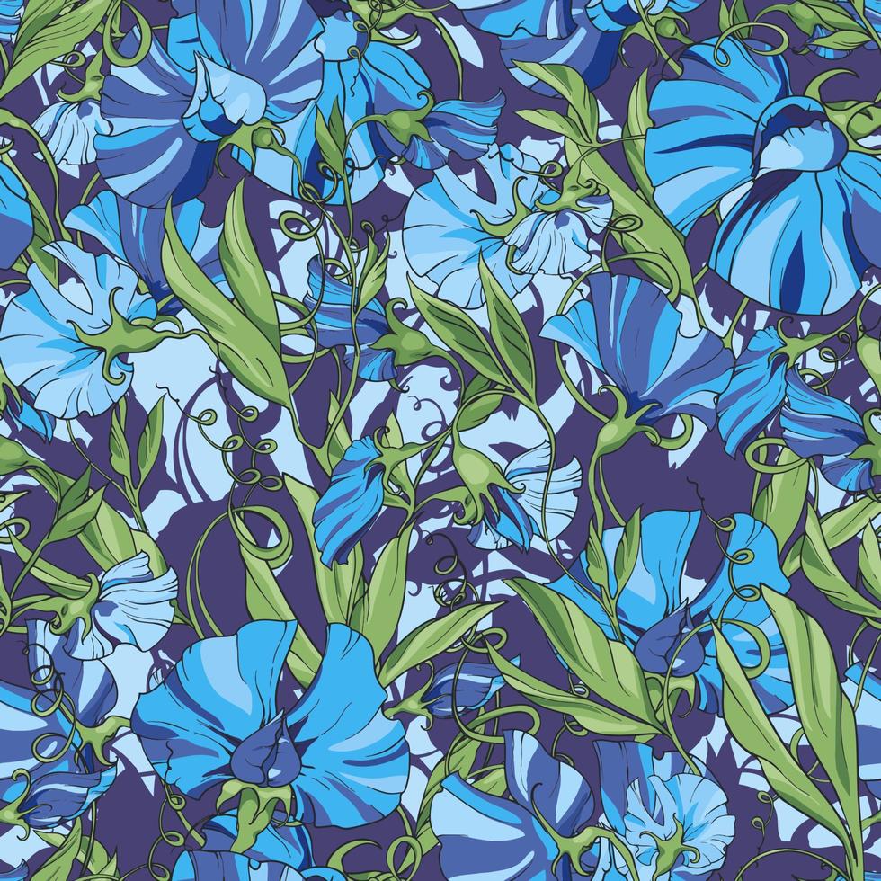 blaue Blumen süße Erbse auf einem blauen lila Hintergrund, florales nahtloses Muster. muster für stoff, verpackungspapier, webseiten, einladungen, grußkarten vektor