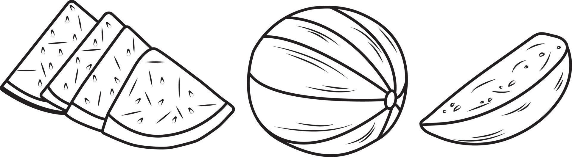 Wassermelonenscheibe, Halb- und Vollvektorgekritzel auf weißem Hintergrund vektor