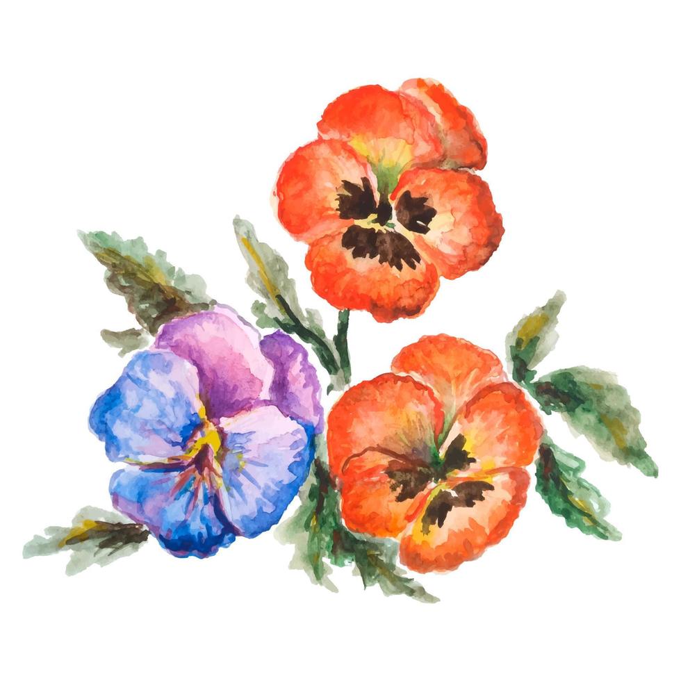 vektor illustration av vattenfärg blomma altfiol tricolor.