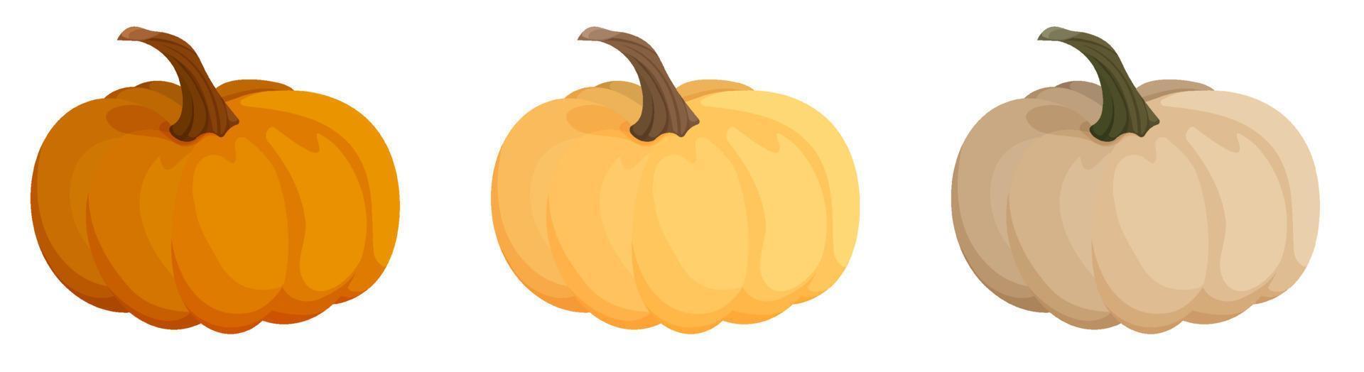 satz orange und beige kürbisfrucht. Herbsternte. Herbst-Halloween-Kürbisse. essbare Pflanzen. Cartoon-Vektor auf weißem Hintergrund vektor