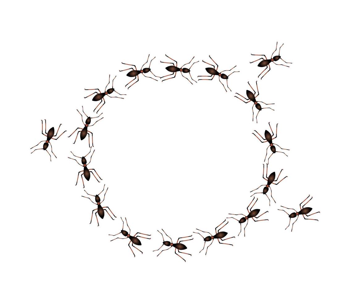 Kreis der Ameisenspur vektor