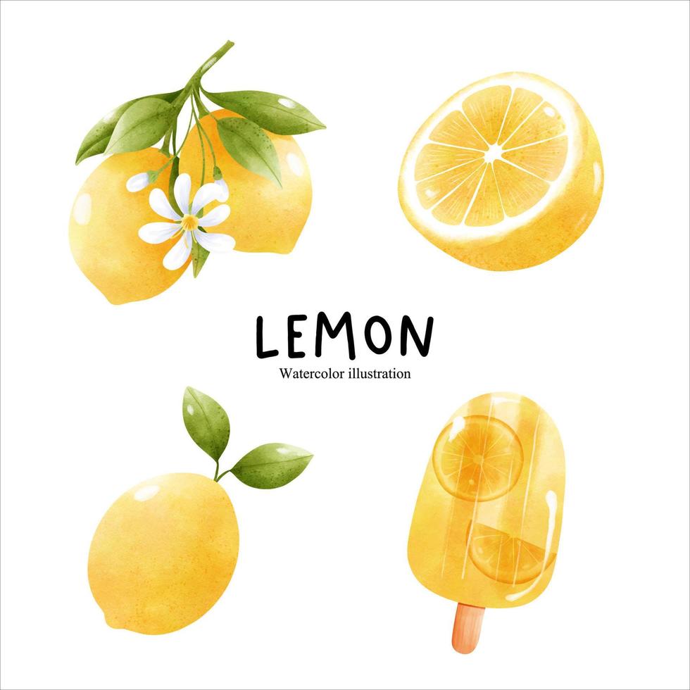 vattenfärg citron, citrus- vektor illustration